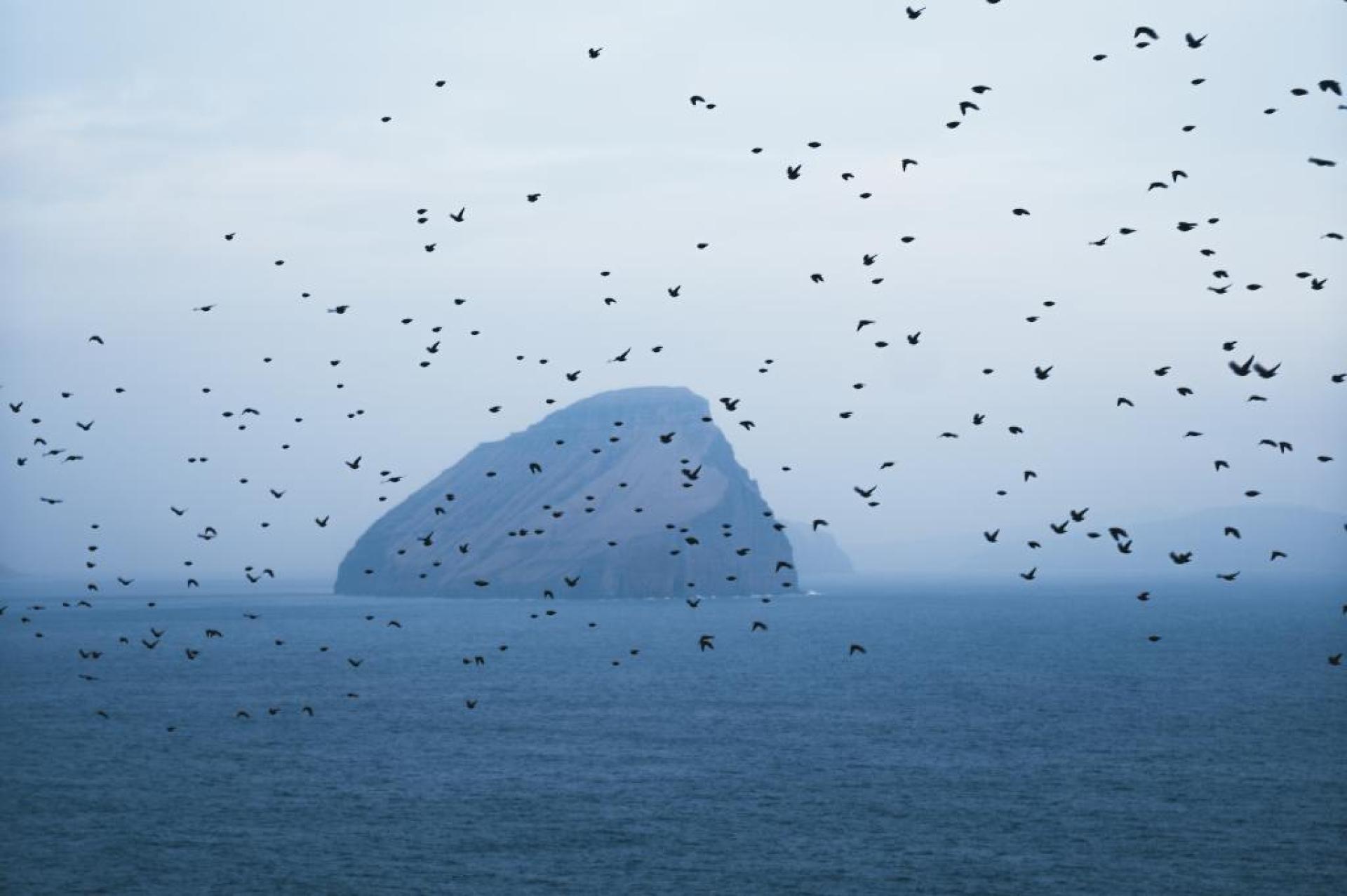 Array